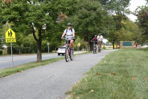 Picture - People Biking